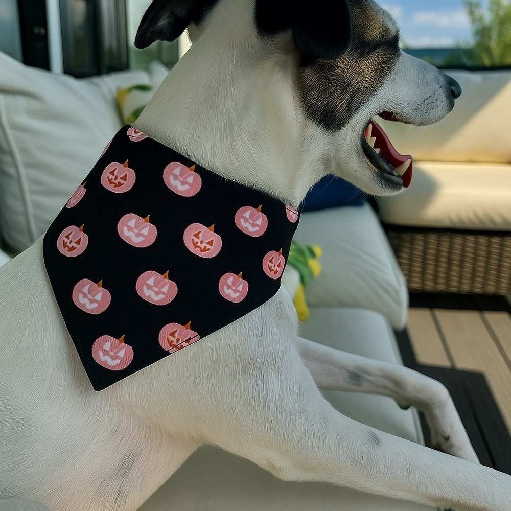 Reversible Scrunchi Black Pink Pumpkin & Ghost Bandanas